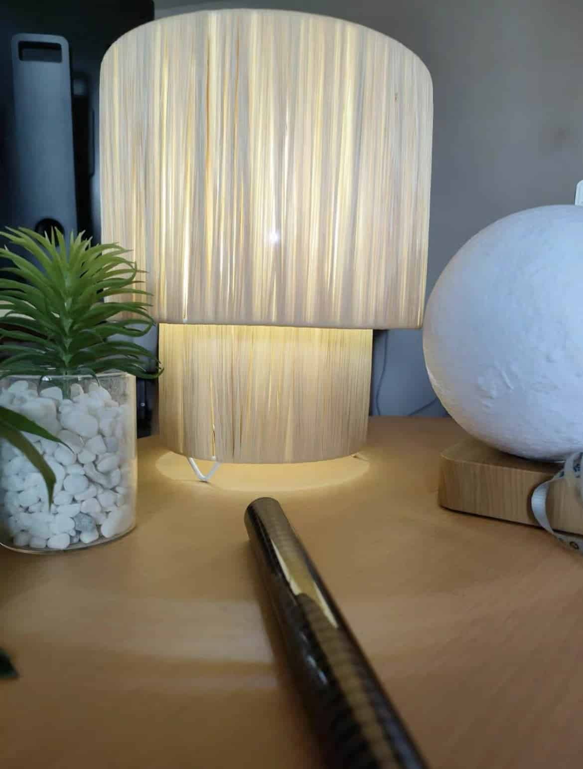 Raffia Lampshade