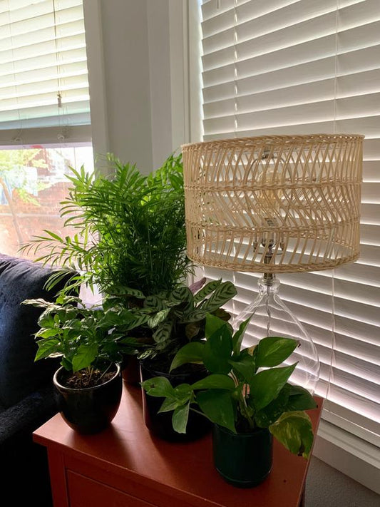 Teardrop Glass & Rattan Table Lamp