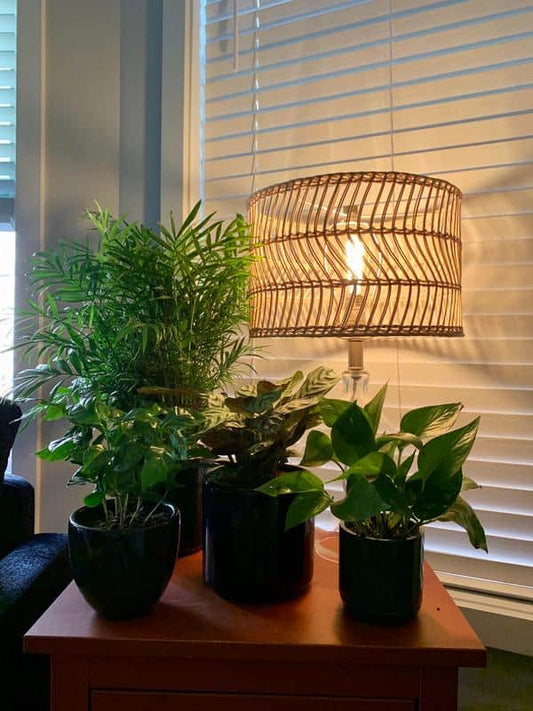 Teardrop Glass & Rattan Table Lamp